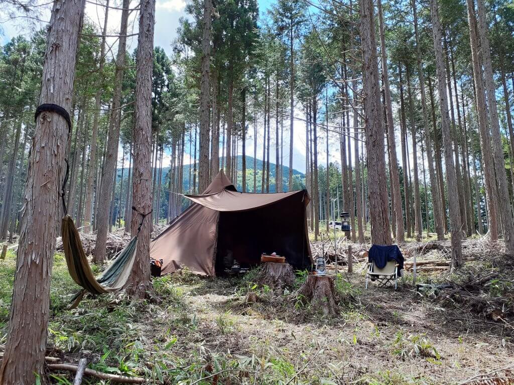 三重県に森林レンタル誕生！ 年間契約の「フォレンタ」で自由なキャンプを楽しもう！